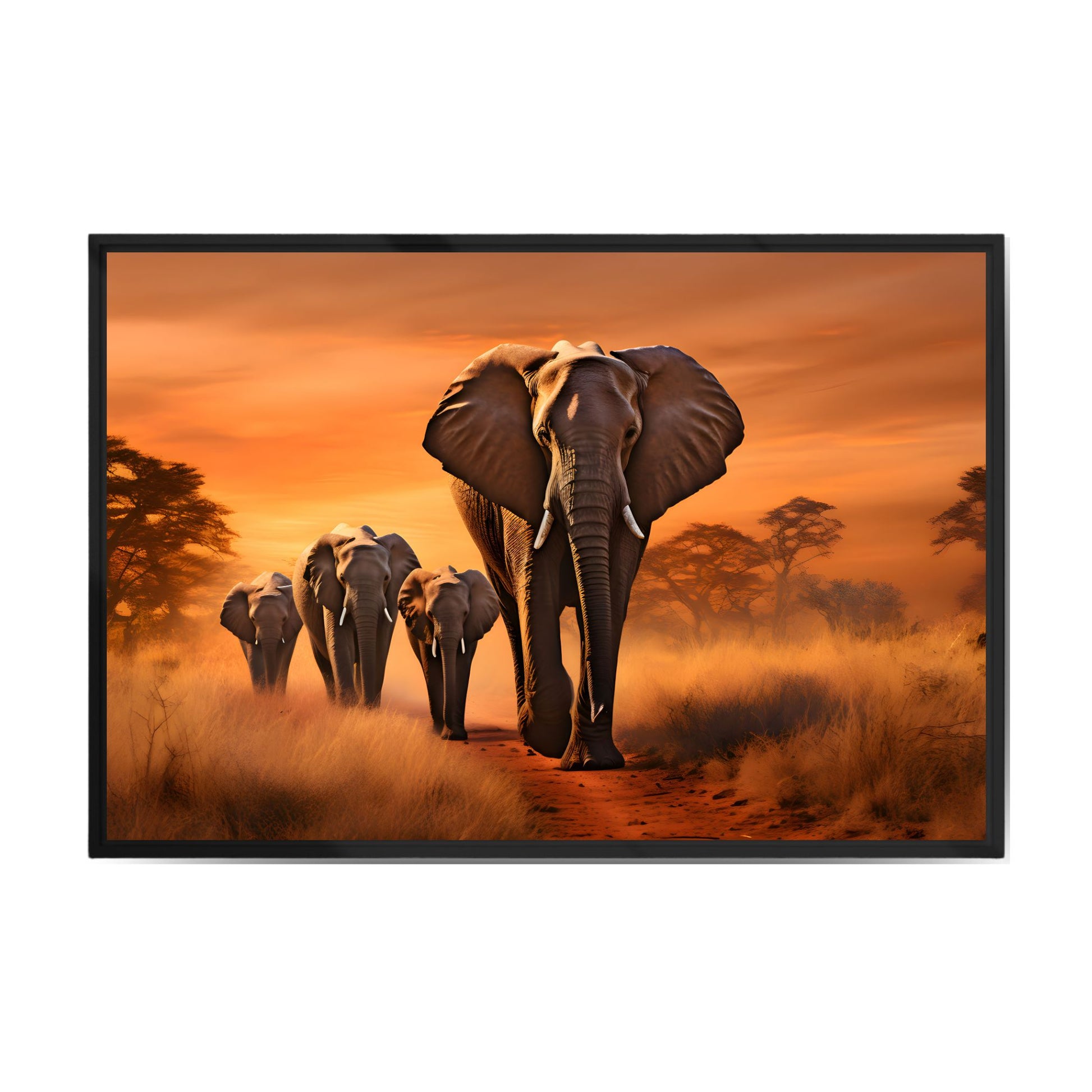 ELEPHANTS WALKING 2