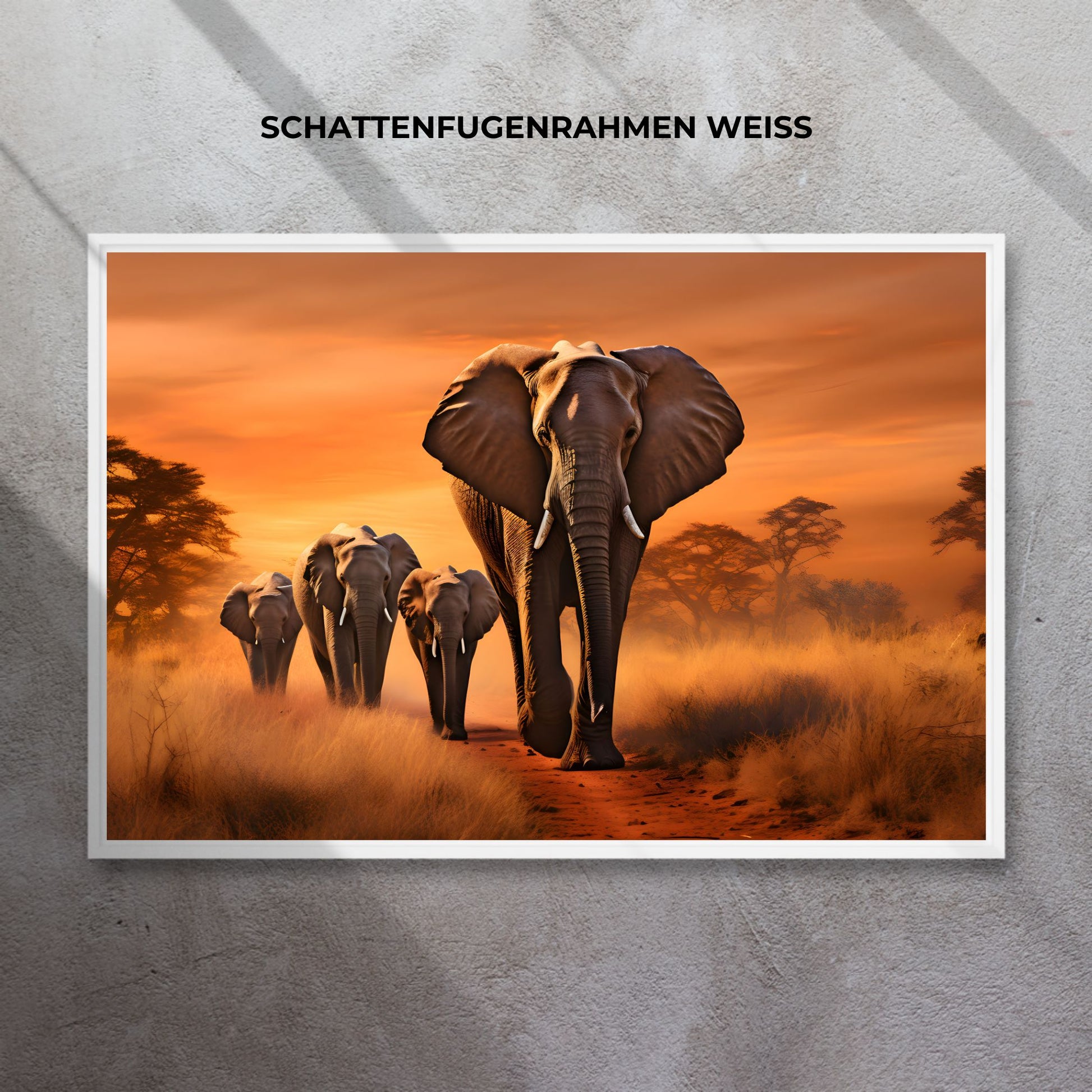 ELEPHANTS WALKING 2