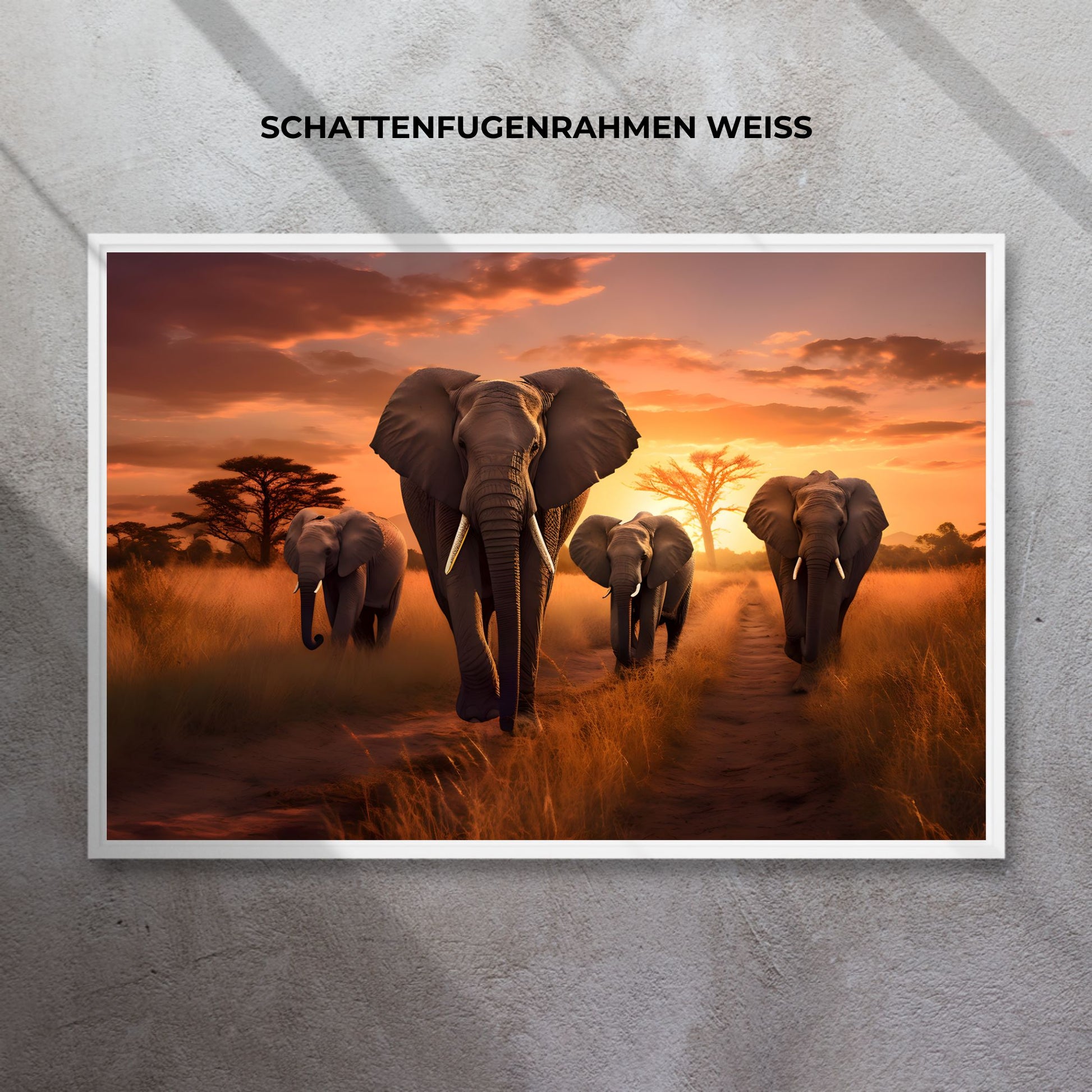 ELEPHANTS WALKING 3