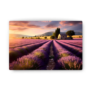 LAVENDER FIELD 2