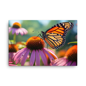 MONARCH BUTTERFLY 2