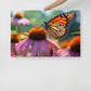 MONARCH BUTTERFLY 2