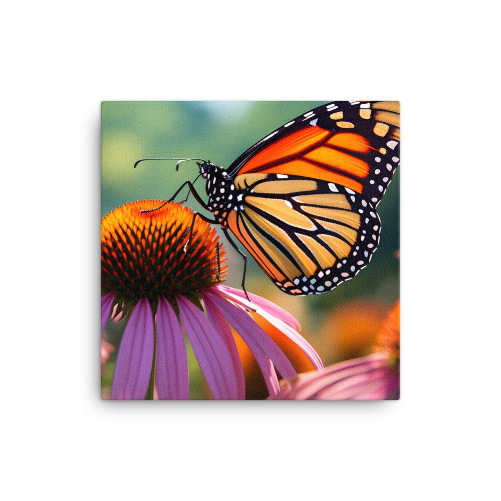 MONARCH BUTTERFLY 2