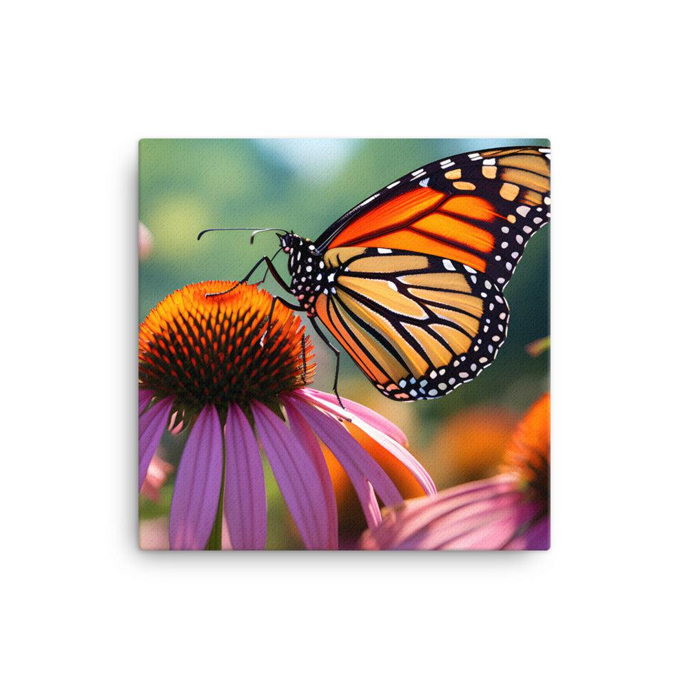 MONARCH BUTTERFLY 2