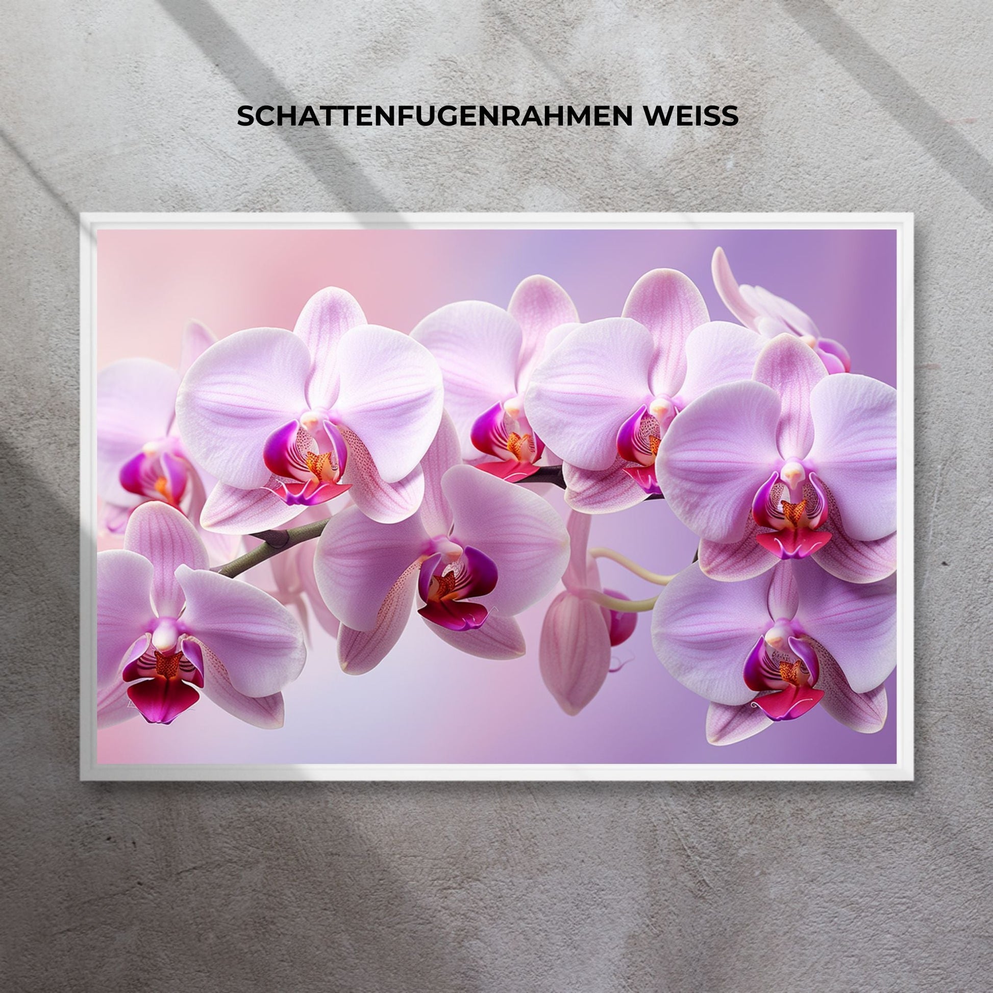 "ORCHID ELEGANCE"