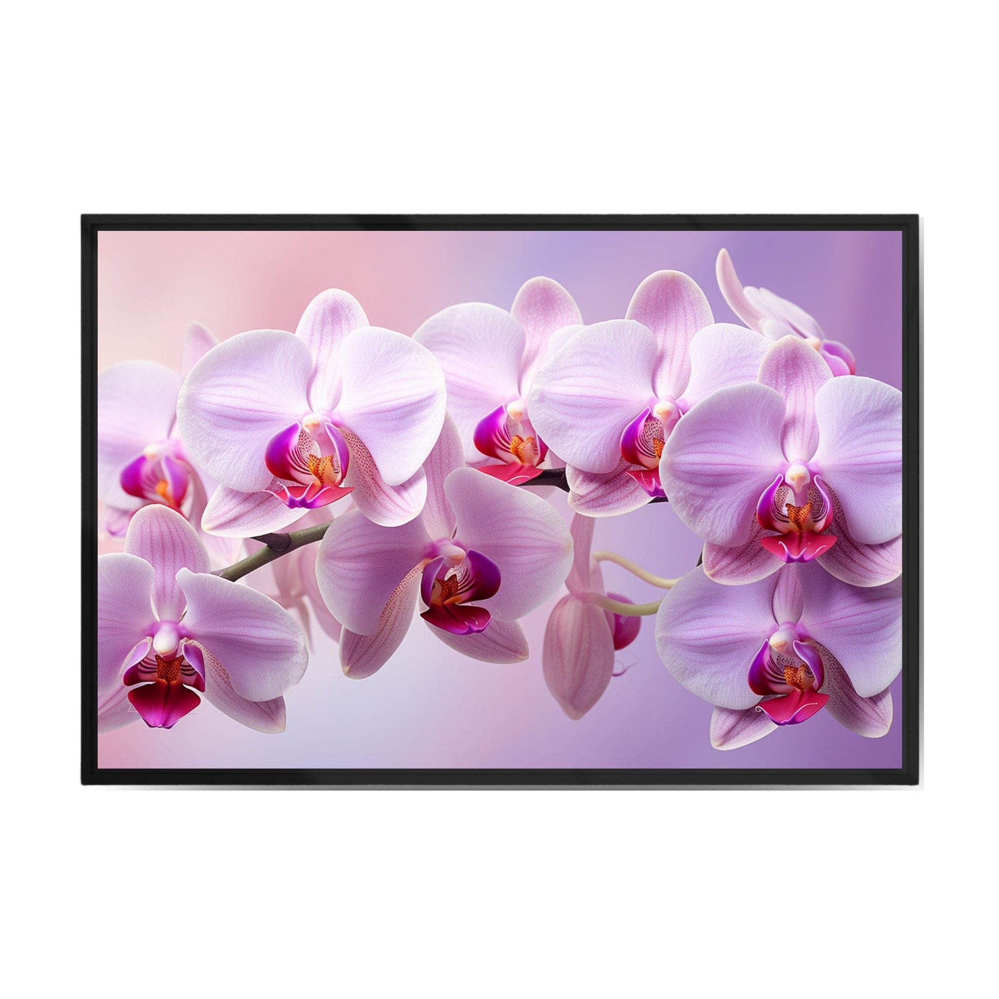 "ORCHID ELEGANCE"