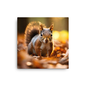 SQUIRREL FORAGING 2